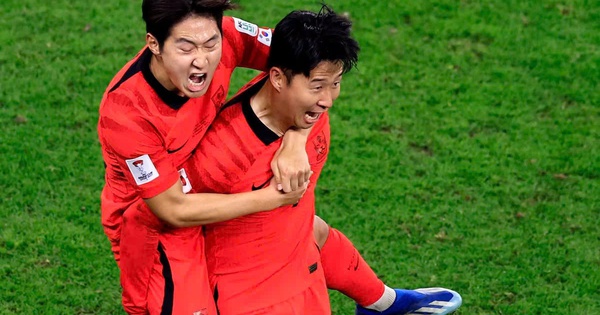 So Tài Á – Phi Tại World Cup 2026: Cơ Hội Nào Cho Người Hâm Mộ NEW88? - hình ảnh - new88pg8.com