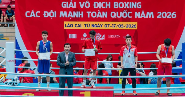 Liên đoàn Quyền anh Việt Nam bị tố bầu cử sai quy định – NEW88 theo dõi sát sao - hình ảnh - new88pg8.com