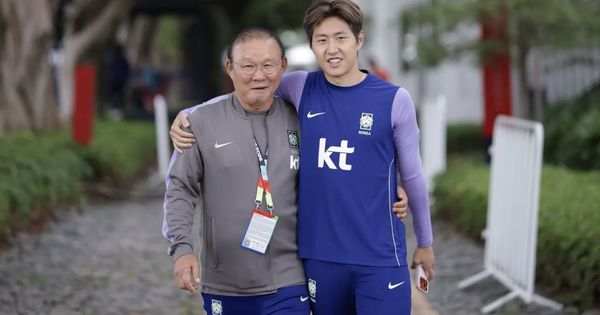 NEW88 VIP: Trưởng đoàn Park Hang-seo cúi đầu xin lỗi người hâm mộ sau World Cup 2026 - hình ảnh - new88pg8.com NEW88 VIP: Trưởng đoàn Park Hang-seo cúi đầu xin lỗi người hâm mộ sau World Cup 2026 - hình ảnh - new88pg8.com