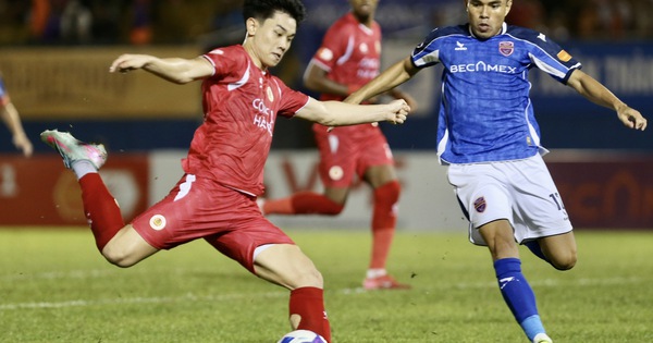 NEW88 cược bóng đá